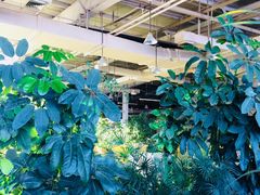 -红栌温泉山庄生态美食餐厅