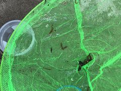 -碓臼峪自然风景区