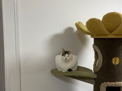 -草庐酒家