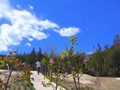 -白水寺森林公园