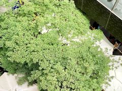 -瑞虹新天地月亮湾