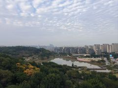 -飞凤山奥体公园