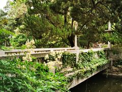 -叶家花园