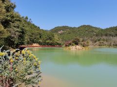 -广州白江湖森林公园