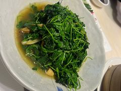 -新梅华餐厅(星悦汇店)
