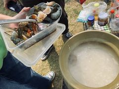-芒洲湿地公园