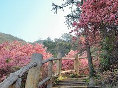 -木兰云雾山