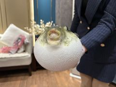 -鲐赏河豚(长寿店)