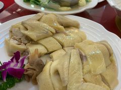 -老乡村美食农庄