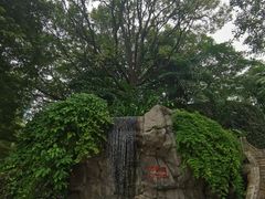-九龙公园