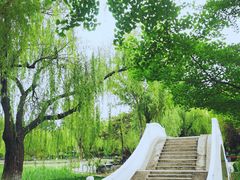 -康庄公园