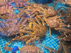 水产区-驻海渔市(置信店)