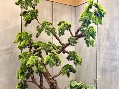 -楼里火锅餐厅(文化城店)