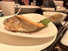 -万豪中餐厅·粤菜·北京粤财JW万豪酒店