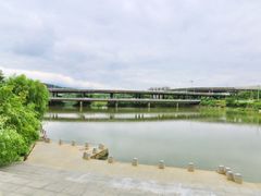 -琴亭湖公园