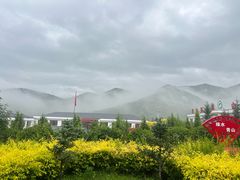 -苏木山森林公园