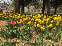 -国家植物园南园