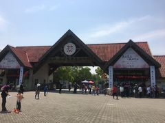 -上海海湾国家森林公园