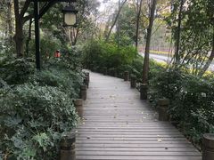 -成都市活水公园