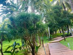 -三亚海棠湾万丽度假酒店