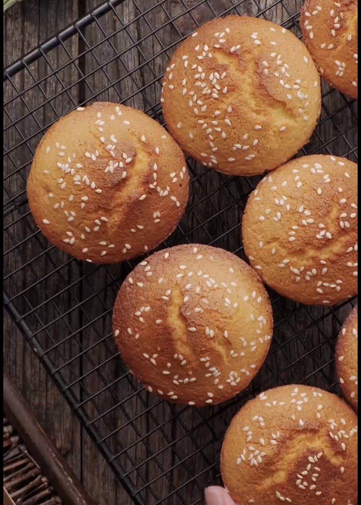 脆皮蛋糕真的好吃吗