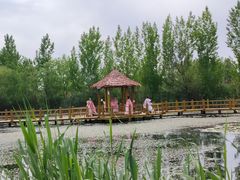 -白洋淀景区