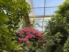 -呀路古热带植物园