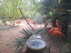 -南京禄口机场雅高铂尔曼大酒店