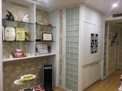 -MUSES专业脱毛比基尼サロン日式连锁