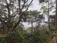 -梧桐山风景名胜区