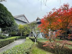 -四川大学(华西校区)