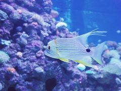 -成都浩海立方海洋公园