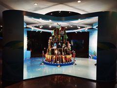 -上海海洋水族馆