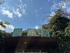-野象谷景区