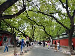 -红花点心局(护国寺店)