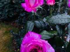 -人民公园(罗湖区)