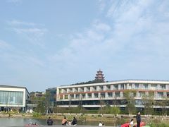 -铁山坪森林公园