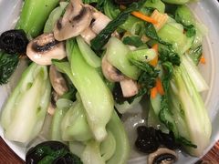 -石锅先生