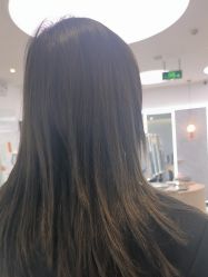 -YESIDO椰岛造型