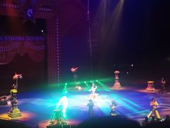 -珠海横琴长隆《卡卡虎奇遇记》