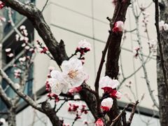 -华润·二十四城