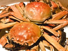 -星伦多自助料理·涮烤一体(杭州来福士店)
