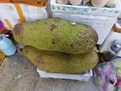 菠萝蜜-新鸿港水果市场