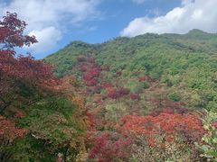 -龙道沟景区