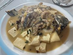 -煲来饱去冷水鱼