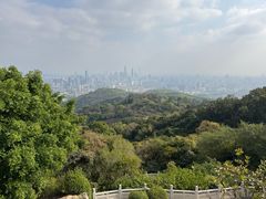 -点都德(广州白云山景区南门店)