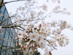-大报恩寺遗址景区