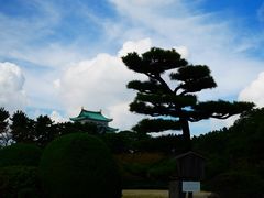 -名古屋城