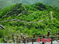 -大岭沟猕猴桃谷风景区