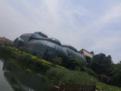 -大塘金香草谷